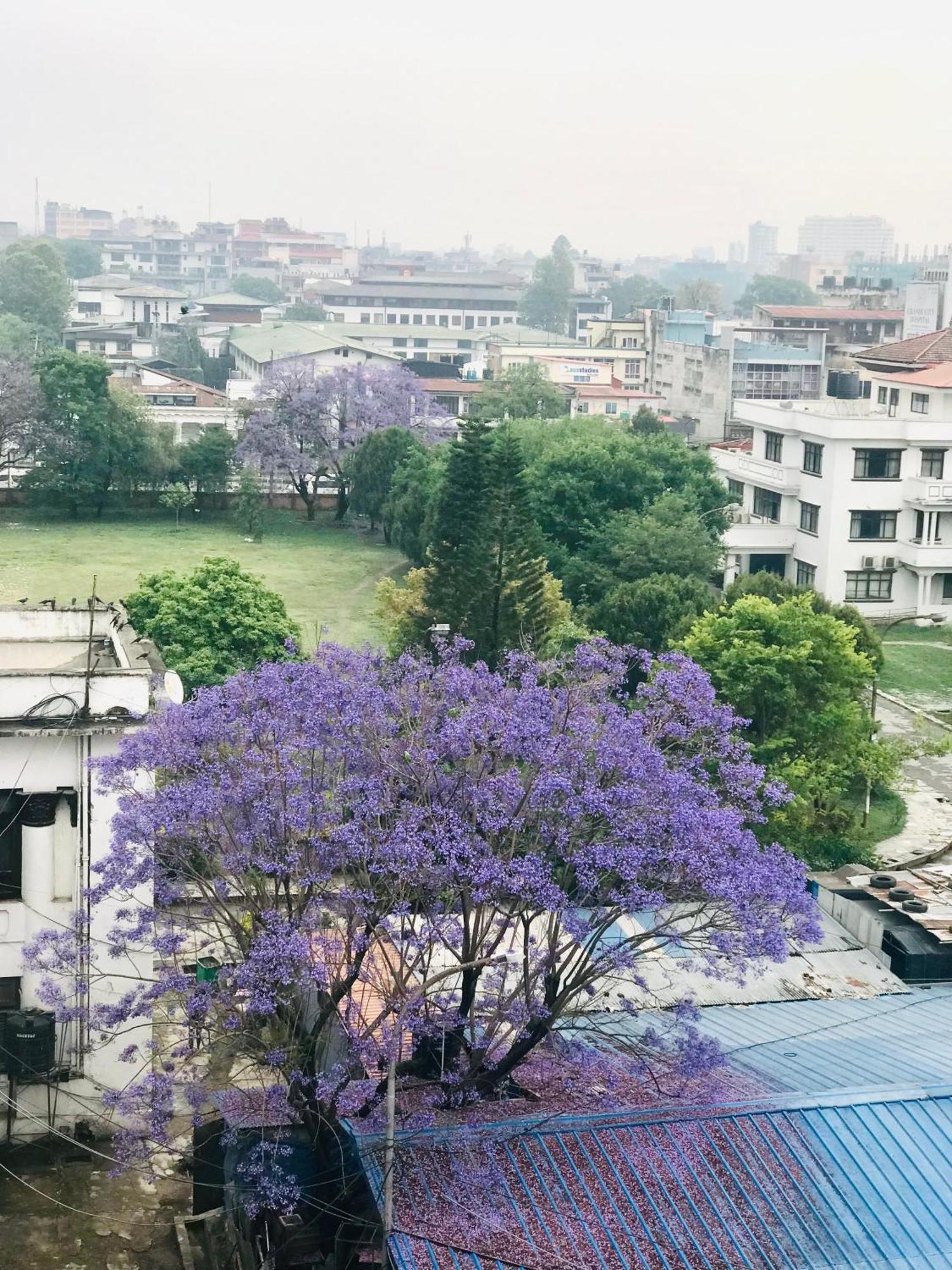 Hotel Maya Boutique And Apartment, Thamel Katmandu Zewnętrze zdjęcie